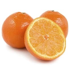 Citrus Orange