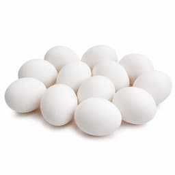 Egg