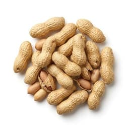 Hybrid Groundnut