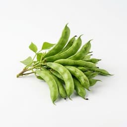 Hyacinth Beans