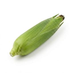 Maize