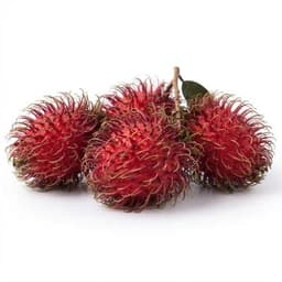 Rambutan