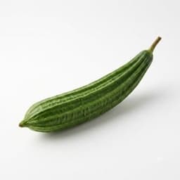 Ridge Gourd