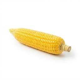 Sweet Corn
